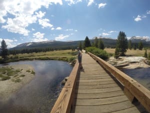 Tuolumne Meadows